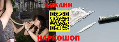 крисы Краснознаменск