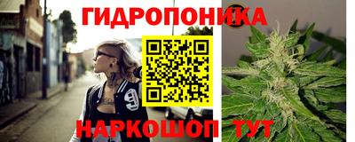 крисы Краснознаменск